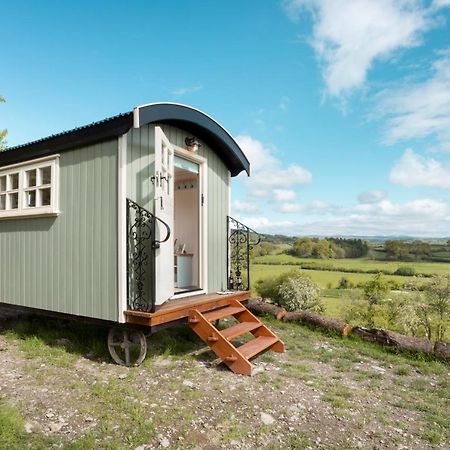 The Heron Shepherds Hut At Lyth Valley Brigsteer Εξωτερικό φωτογραφία